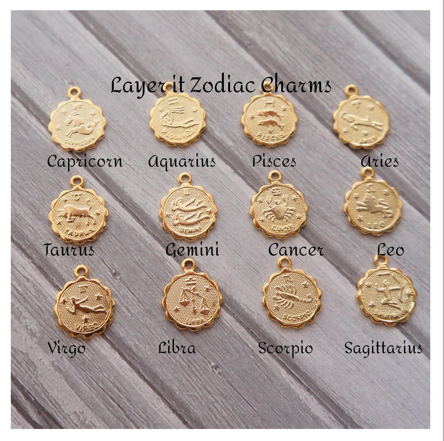 Coin Zodiac Necklace