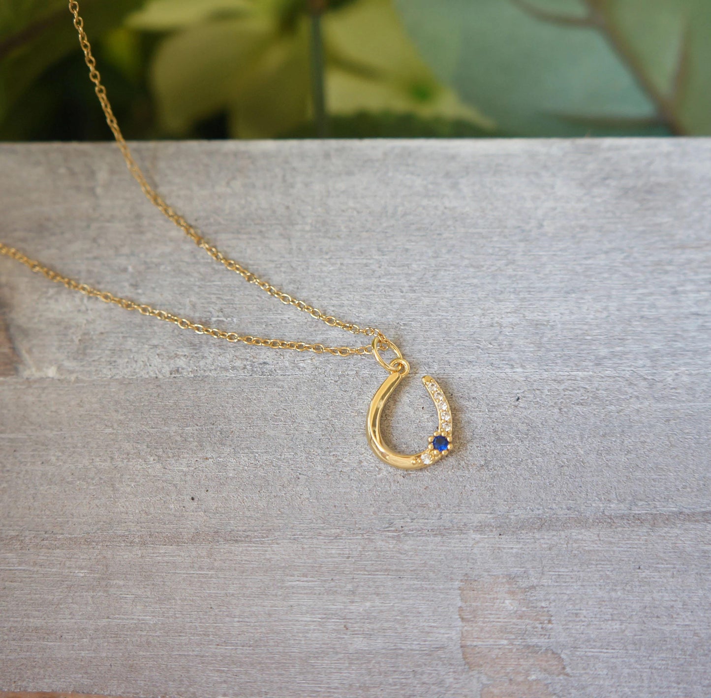 Dainty Gold Horseshoe Necklace