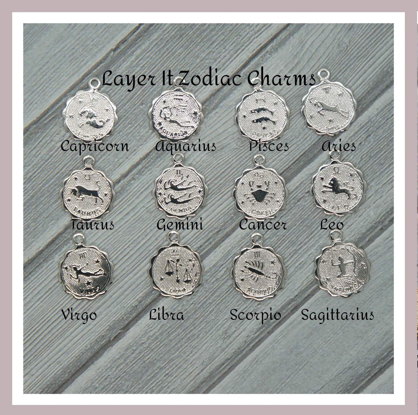 Zodiac Necklace Zodiac Charm Necklace Libra Necklace Leo Necklace Capricorn Necklace Delicate Layer Necklace Zodiac Jewelry for Women