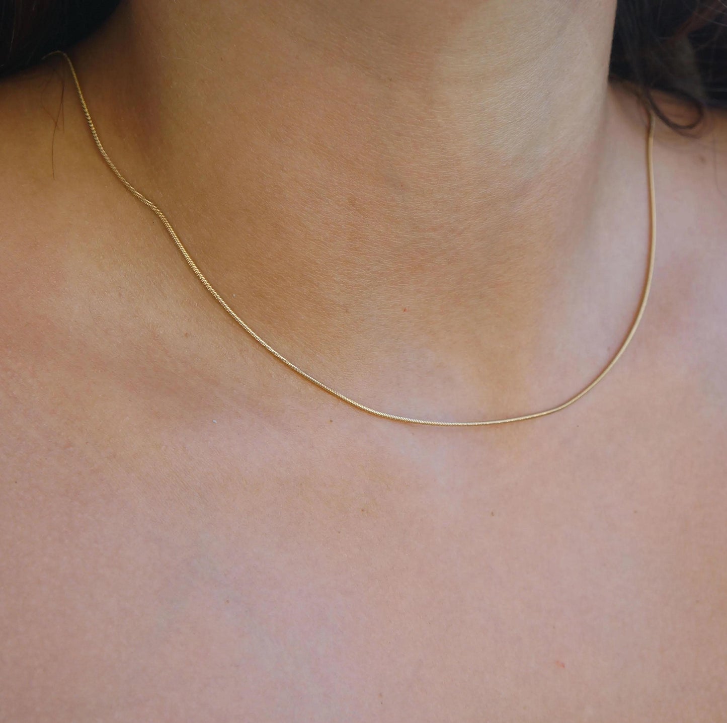 Gold Dainty Snake Chain