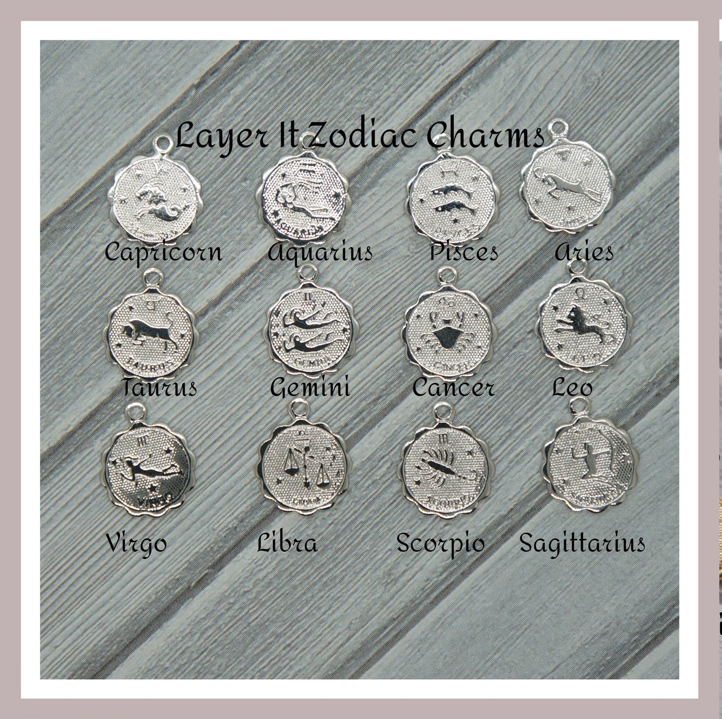 Coin Necklace Coin Zodiac Necklace Charm Necklace Virgo Necklace Aries Necklace Capricorn Necklace Scorpio Necklace Delicate Layer Necklace