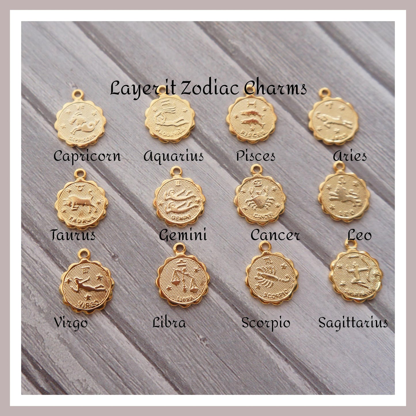 Zodiac Necklace Zodiac Charm Necklace Libra Necklace Leo Necklace Capricorn Necklace Delicate Layer Necklace Zodiac Jewelry for Women